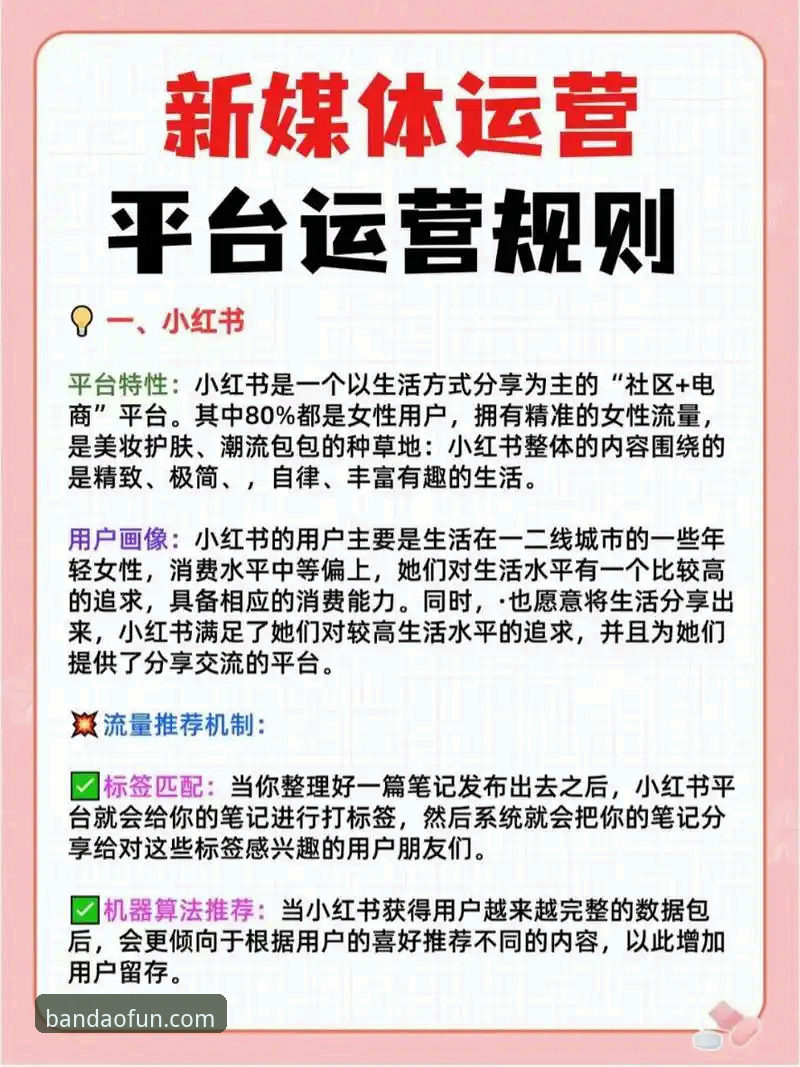 深度揭秘:半岛娱乐新手教程使用技巧背后的高效捷径与避坑指南